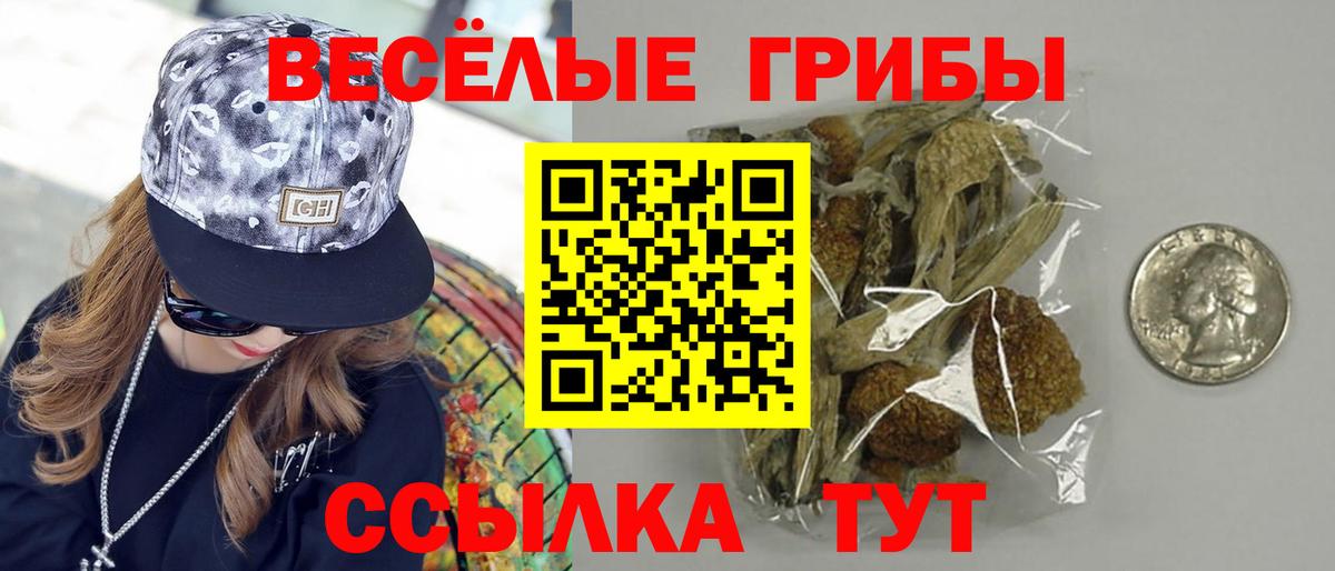 Галлюциногенные грибы Magic Shrooms Ростов Великий